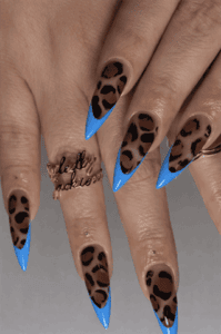 Leopard print stiletto nails with blue French tips, nude base glossy animal print nail design on long nails
