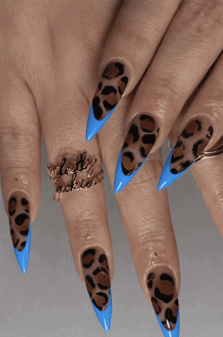 Leopard print stiletto nails with blue French tips, nude base glossy animal print nail design on long nails