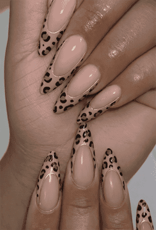 Nude leopard print French tip stiletto nails with glossy finish, animal print nail design on long nails